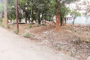 सरकारी संपत्ति पर अवैध कब्जा (photo source- Patrika)