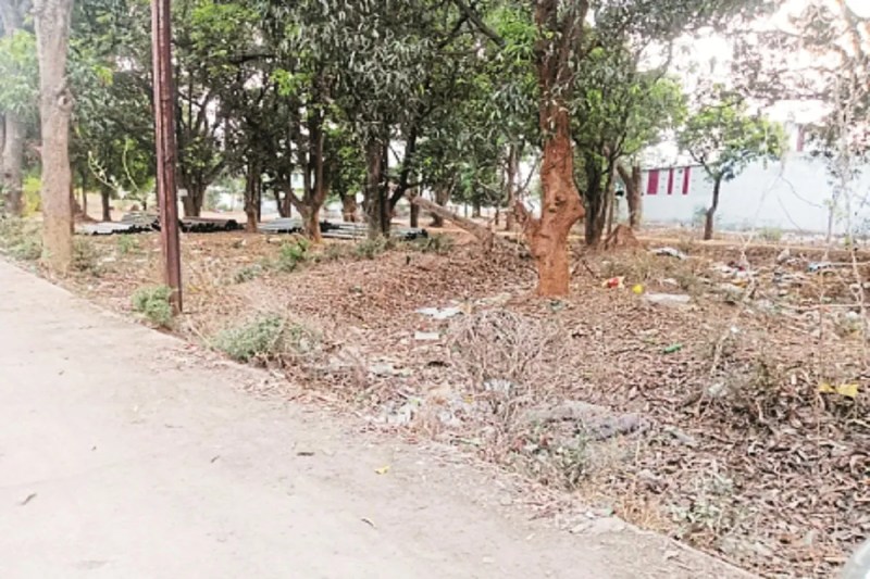 सरकारी संपत्ति पर अवैध कब्जा (photo source- Patrika)