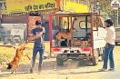Dog Cruelty in Jaipur Viral Video Near HiraPura Bus Stand Sparks Outrage Civic Body Issues Notice to Firm