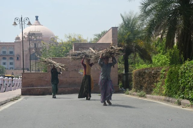 Cylinder shortage in jaipur 