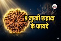 9 Mukhi Rudraksha Benefits in Hindi