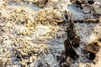 Ashes Stolen In Lakheri Bundi