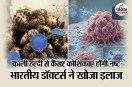 Black Turmeric For Cancer Treatment in BHU