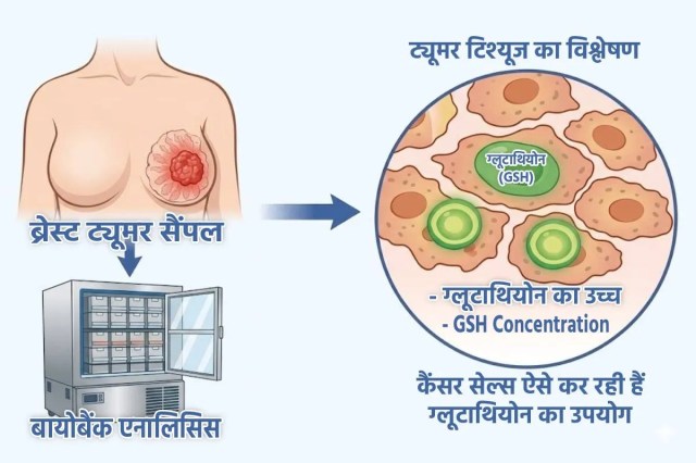 Cancer Cells Feed Glutathione for Growth and survival