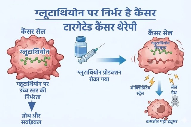 Cancer Cells Feed Glutathione targeted Therapy