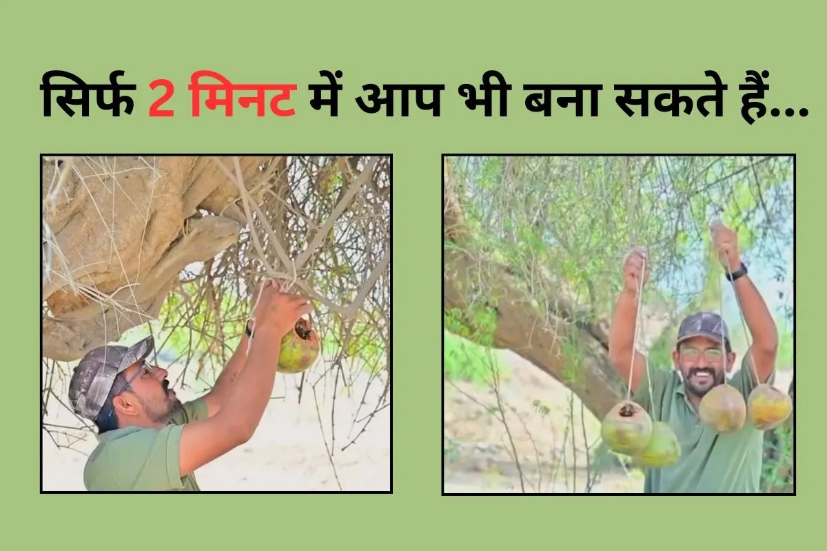 Coconut Shell Bird House Pic