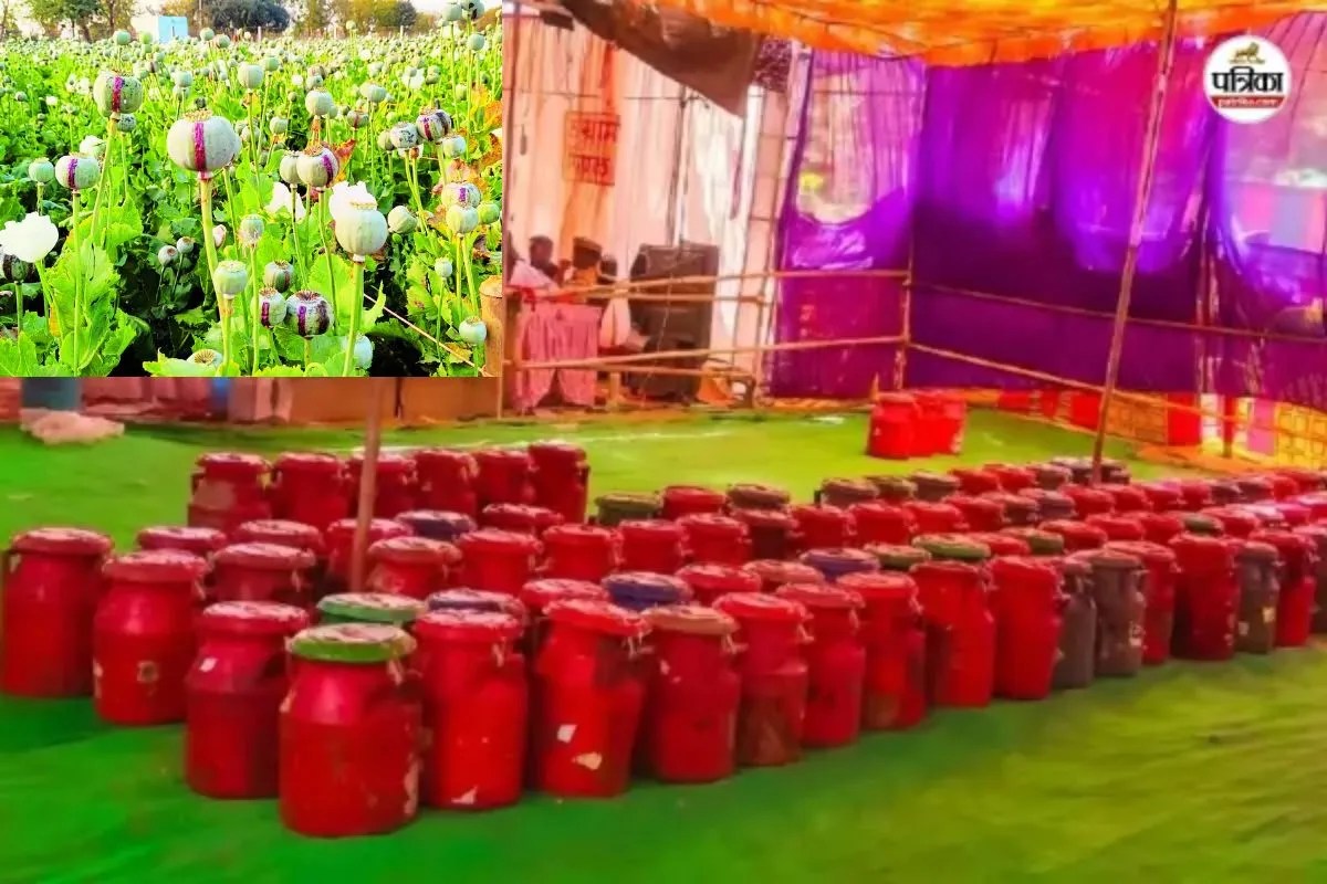 अफीम तौल केंद्र प्रतापगढ़, पत्रिका फाइल फोटो