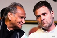 Rahul Gandhi and Ashok Gehlot - File PIC