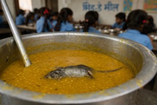 सांकेतिक तस्वीर, मेटा एआइ