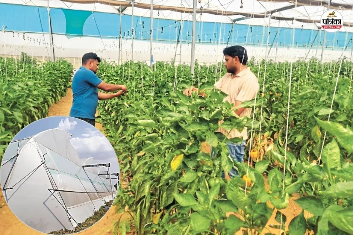 Dausa Rain Hailstorm Damage-1