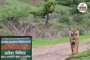 भोरमदेव में विकास और संरक्षण की नई कहानी (photo source- Patrika)