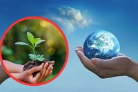 Environmental Protection