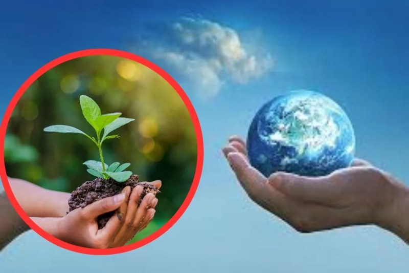 Environmental Protection