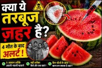 बहुत ही आसान तरीकों से असली और नकली तरबूज की पहचान की जा सकती है, फोटो - पत्रिका
