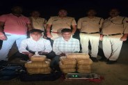 Hemp smuggling