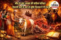 garud puran gau daan, vaitarani nadi kya hai, gau daan importance after death,