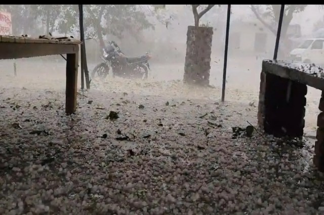 
Hailstorm Havoc in Hardoi