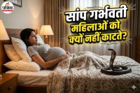 Snake Myths in Pregnancy