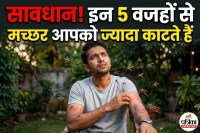 Machar Jyada Kyon Katte Hain