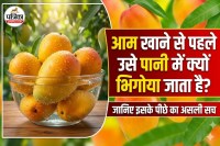 Why Soak Mangoes In Water Before Eating