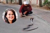 Tonk cobra incident, Tina Dabi residence snake, Rajasthan snake rescue, cobra in government house, Tonk district news, IAS Tina Dabi news, snake rescue operation, cobra found in bungalow, Rajasthan wildlife incident, civil defense rescue Tonk, dangerous snake Rajasthan, Tonk latest news, cobra naya species India, snake in collector house, Rajasthan breaking news