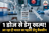 Dengue Vaccine, India First Dengue Vaccine, Dengue Vaccine Qdenga,