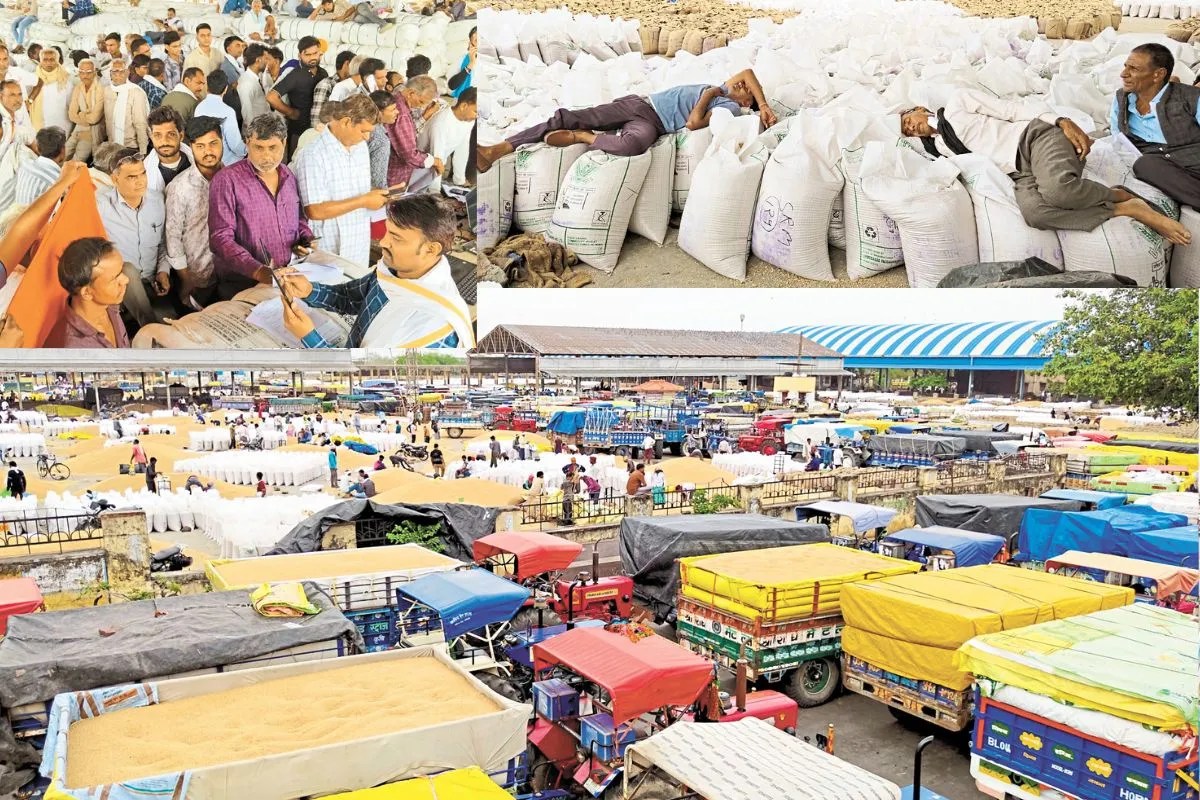 Kota Bhamashah Mandi