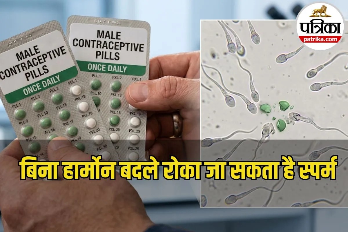 Male Contraceptive Pill