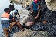 Illegal coal mines