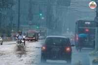 hindi news website com weather alert rain hailstorm delhi up 7 to 10 april 2026