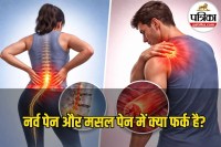 Nerve Pain vs Muscle Pain