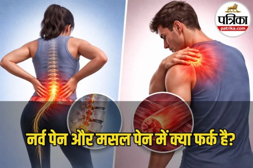 Nerve Pain vs Muscle Pain
