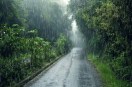 Rain Alert प्रतिकात्मक फोटो (Photo Source- freepik)