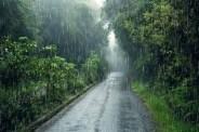 Rain Alert प्रतिकात्मक फोटो (Photo Source- freepik)