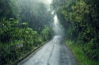 Rain Alert प्रतिकात्मक फोटो (Photo Source- freepik)