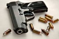 Gun License