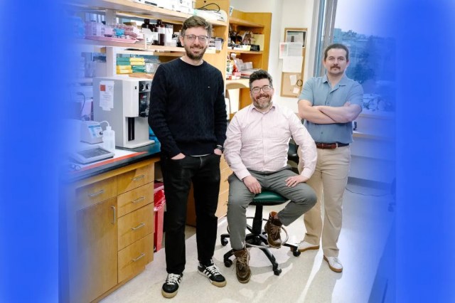 Scientists Discover an Unexpected Food Source for Tumors