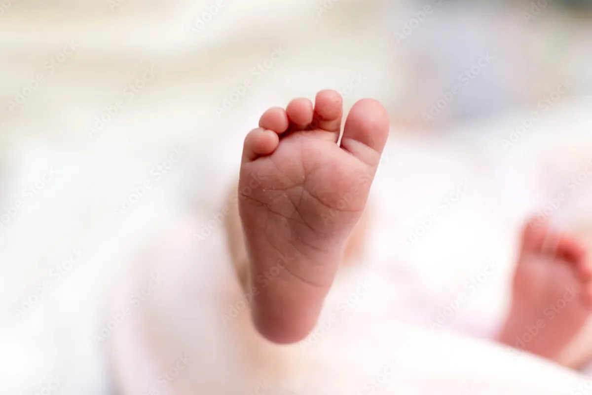 abandoned newborn Dabi, newborn found in garbage Rajasthan, infant rescue Kota hospital, Dabi police rescue baby, Rajasthan newborn case, baby found in waste pile, infant health emergency Rajasthan, JK Lon hospital Kota newborn, rural incident newborn rescue, Dabi latest news, newborn survival case Rajasthan, police investigation abandoned baby, night rescue infant Rajasthan, healthcare response newborn case, Rajasthan sensitive news, Kota referral newborn case, abandoned infant story Rajasthan, emergency medical care newborn, rural police action Rajasthan, infant rescue awareness