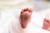 abandoned newborn Dabi, newborn found in garbage Rajasthan, infant rescue Kota hospital, Dabi police rescue baby, Rajasthan newborn case, baby found in waste pile, infant health emergency Rajasthan, JK Lon hospital Kota newborn, rural incident newborn rescue, Dabi latest news, newborn survival case Rajasthan, police investigation abandoned baby, night rescue infant Rajasthan, healthcare response newborn case, Rajasthan sensitive news, Kota referral newborn case, abandoned infant story Rajasthan, emergency medical care newborn, rural police action Rajasthan, infant rescue awareness