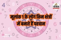 Mulank 1 Career, Numerology Career Tips,Numerology