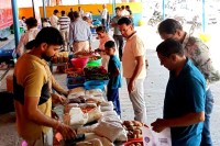 Organic-Natural Haat news