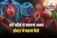 Pomegranate Heart Benefits