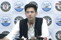 AAP Raghav Chadha removal, Raghav Chadha Rajya Sabha deputy leader, Aam Aadmi Party internal conflict, Ashok Mittal new deputy leader AAP