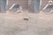 Rain anupgarh