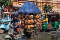 जयपुर में काले और लाल मटकों को बिक्री के लिए ले जाता युवक, फोटो - पत्रिका