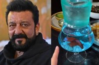 Sanjay Dutt Mumbai Restobar alta-stella took big step stop serving live fish cocktail after Faces Outrage