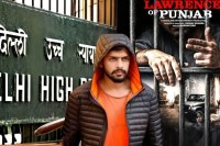 Lawrence of Punjab Web Series