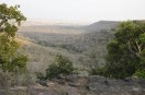 Shahbad Forest