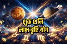 Shukra Shani Labh Drishti Yog 2026