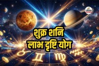 Shukra Shani Labh Drishti Yog 2026